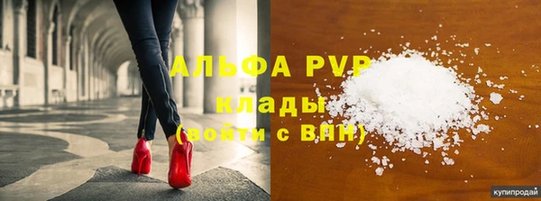 сатива Заводоуковск