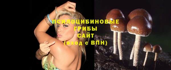 сатива Заводоуковск
