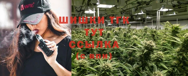 сатива Заводоуковск
