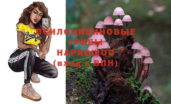 apvp Заволжье