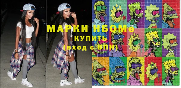 сатива Заводоуковск