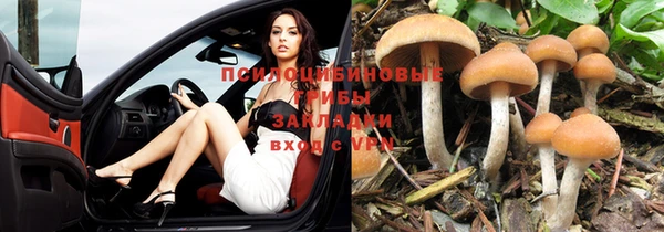 apvp Заволжье