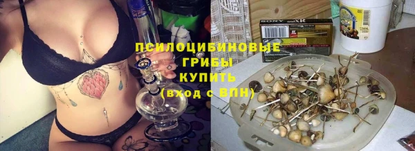 сатива Заводоуковск