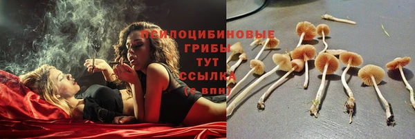 apvp Заволжье