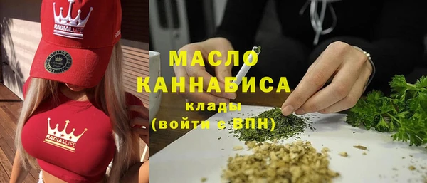 сатива Заводоуковск