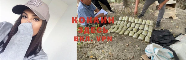 мяу мяу мука Заволжск