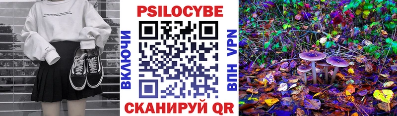 Галлюциногенные грибы Cubensis  продажа наркотиков  Томари 